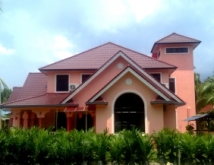 ASIANA maroon colour - Banting