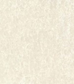 Blatty – BT6600 / BT8600