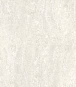 Navona – BT6500 / BT8500