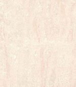 Navona – BT6508 / BT8508