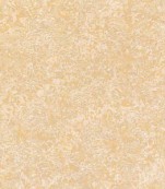 Shells Stone – BT601B / BT801B