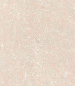 Shells Stone – BT608B / BT808B